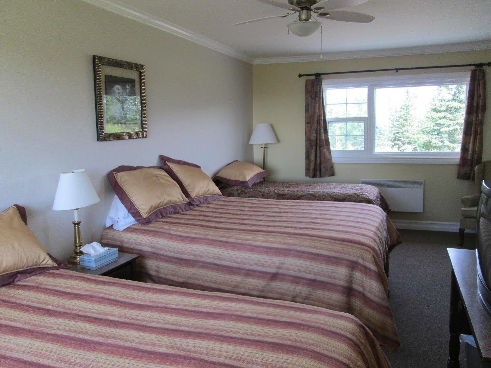 Scenic Motel מונקטון מראה חיצוני תמונה